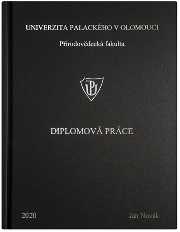 Vazba diplomových prací Dobřichovice
