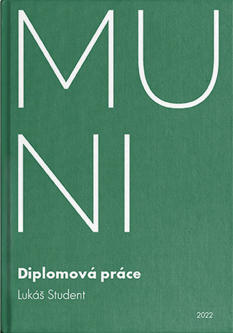 MUNI - FSS - Diplomová práce