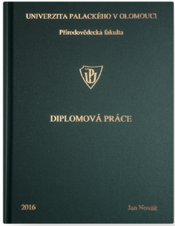 Nejzádanější vazba